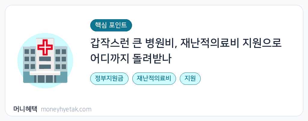 재난적의료비 지원
