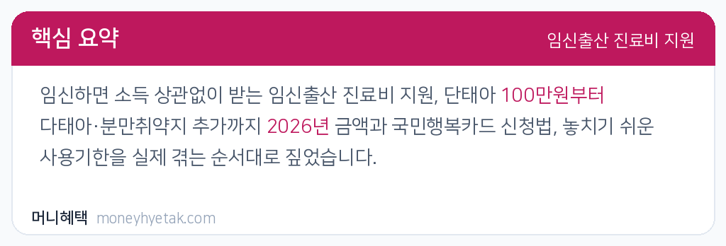 임신출산 진료비 지원